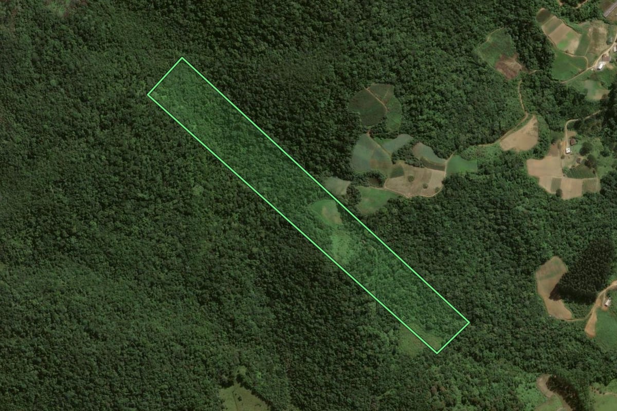 Imagem de satélite do imóvel rural em Angelina (SC), com o contorno declarado no CAR desenhado por cima.