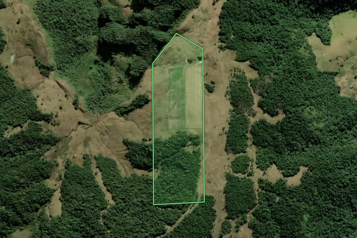 Imagem de satélite do imóvel rural em Angelina (SC), com o contorno declarado no CAR desenhado por cima.