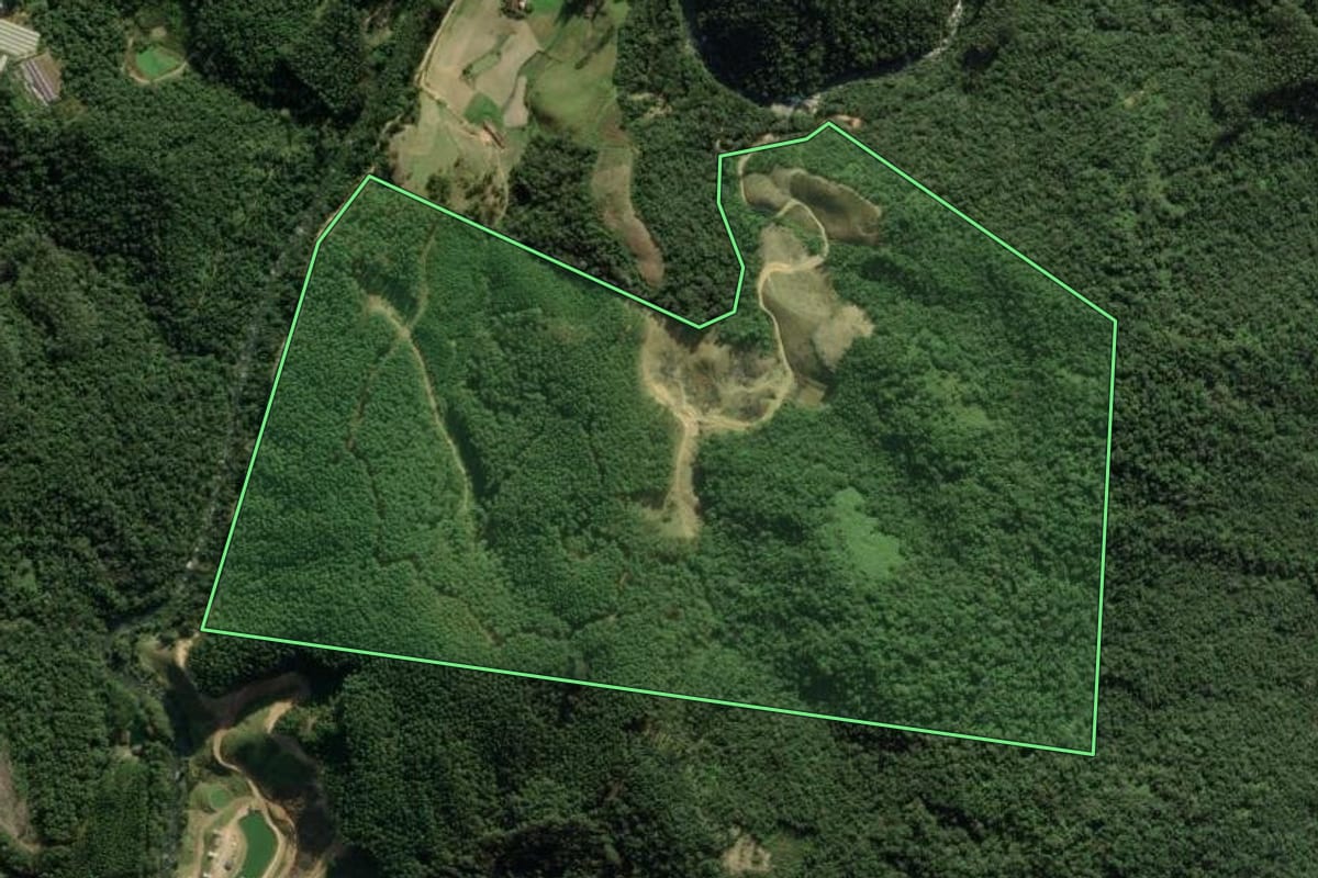 Imagem de satélite do imóvel rural em Angelina (SC), com o contorno declarado no CAR desenhado por cima.