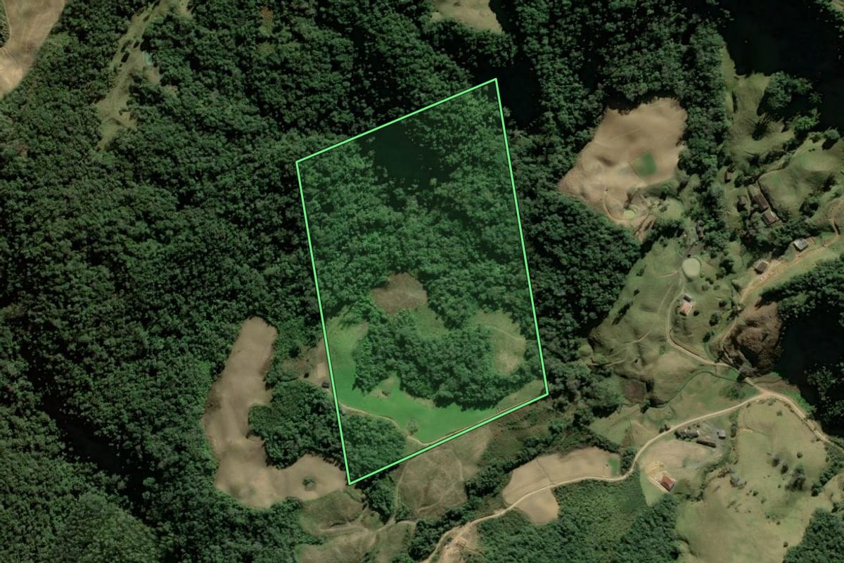 Imagem de satélite do imóvel rural em Angelina (SC), com o contorno declarado no CAR desenhado por cima.