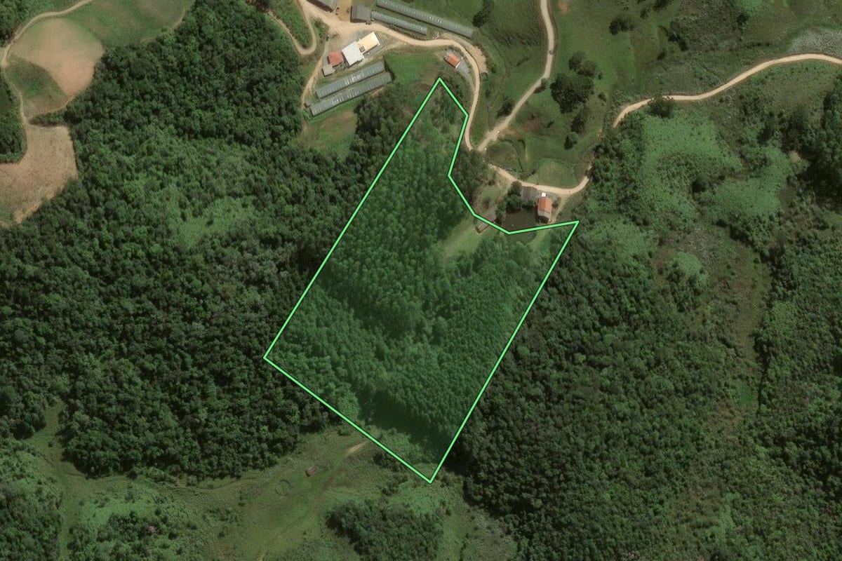 Imagem de satélite do imóvel rural em Angelina (SC), com o contorno declarado no CAR desenhado por cima.