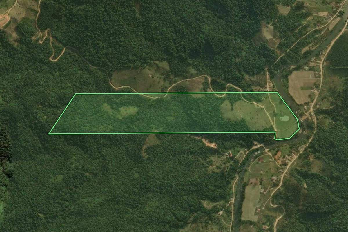 Imagem de satélite do imóvel rural em Angelina (SC), com o contorno declarado no CAR desenhado por cima.