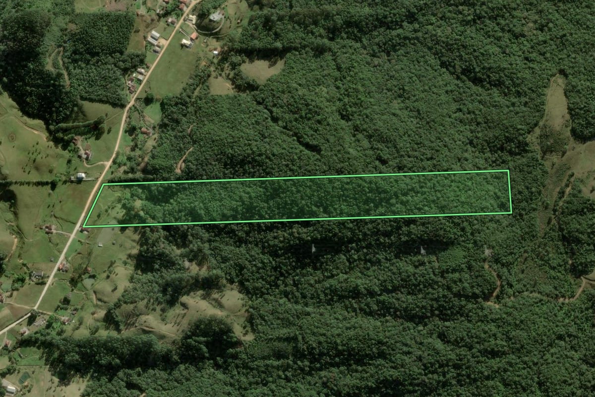 Imagem de satélite do imóvel rural em Angelina (SC), com o contorno declarado no CAR desenhado por cima.