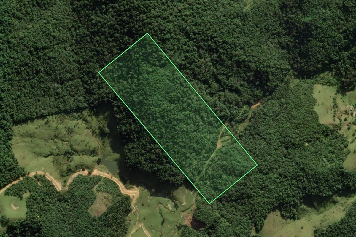 Imagem de satélite do imóvel rural em Angelina (SC), com o contorno declarado no CAR desenhado por cima.