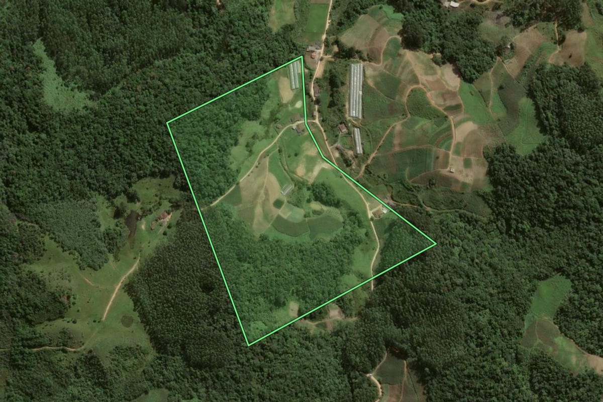 Imagem de satélite do imóvel rural em Angelina (SC), com o contorno declarado no CAR desenhado por cima.