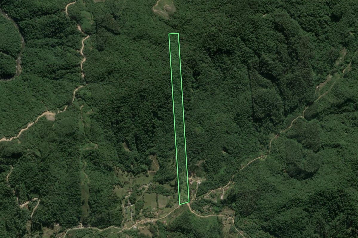 Imagem de satélite do imóvel rural em Angelina (SC), com o contorno declarado no CAR desenhado por cima.