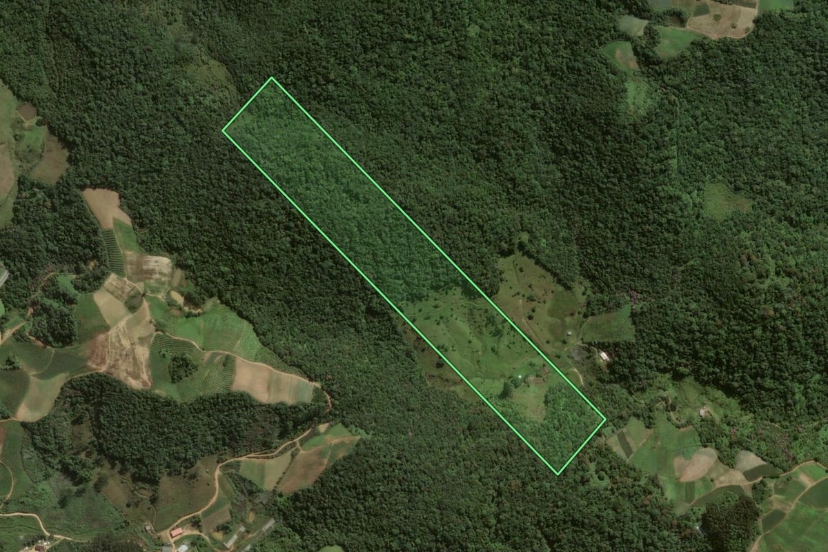 Imagem de satélite do imóvel rural em Angelina (SC), com o contorno declarado no CAR desenhado por cima.