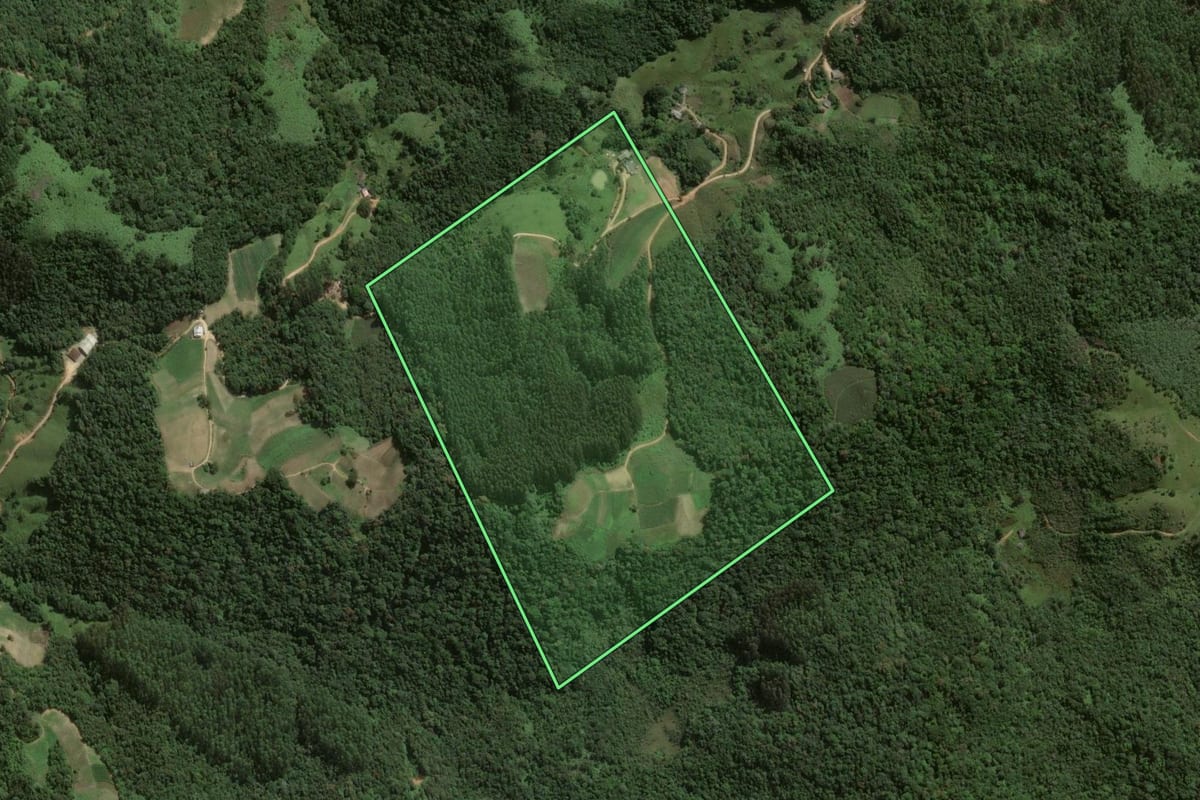 Imagem de satélite do imóvel rural em Angelina (SC), com o contorno declarado no CAR desenhado por cima.