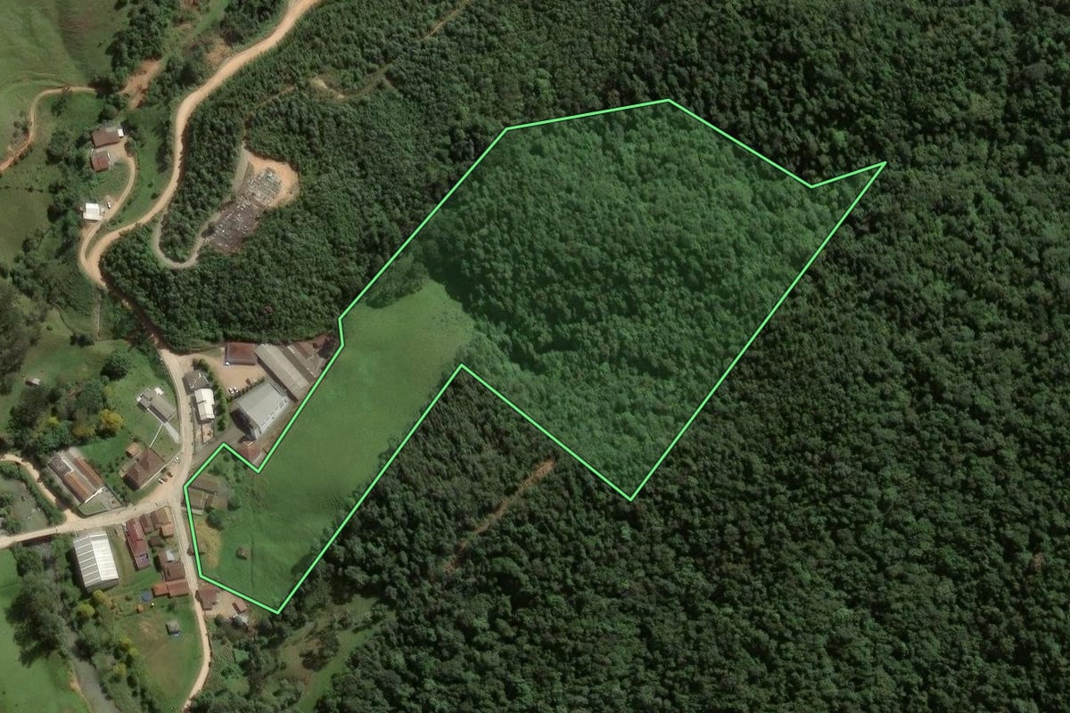 Imagem de satélite do imóvel rural em Angelina (SC), com o contorno declarado no CAR desenhado por cima.