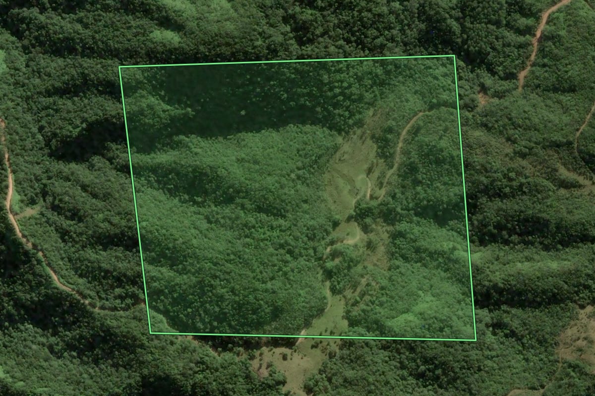 Imagem de satélite do imóvel rural em Angelina (SC), com o contorno declarado no CAR desenhado por cima.