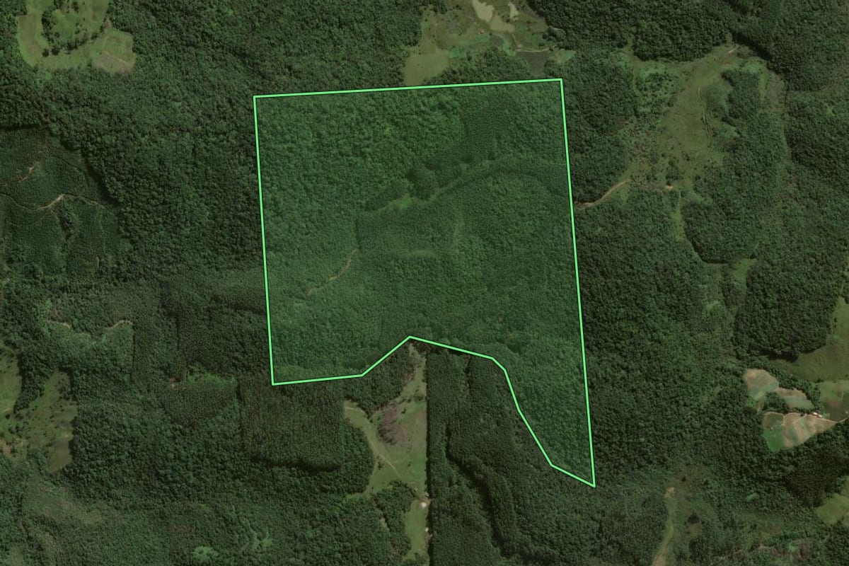 Imagem de satélite do imóvel rural em Angelina (SC), com o contorno declarado no CAR desenhado por cima.