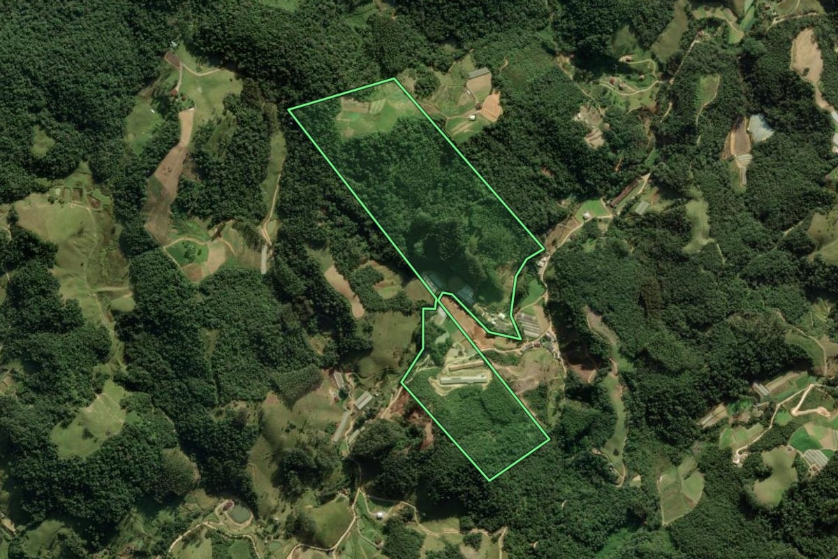 Imagem de satélite do imóvel rural em Angelina (SC), com o contorno declarado no CAR desenhado por cima.