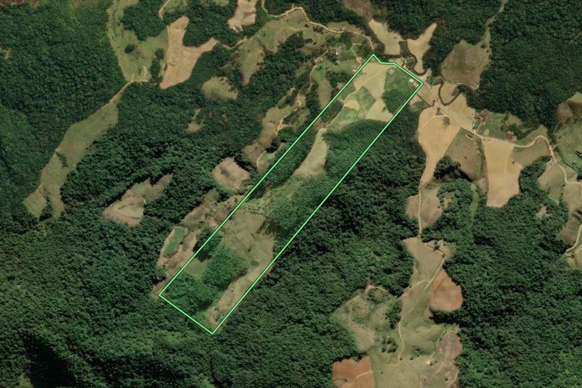 Imagem de satélite do imóvel rural em Angelina (SC), com o contorno declarado no CAR desenhado por cima.