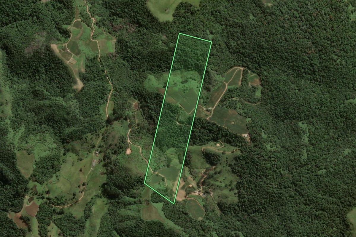 Imagem de satélite do imóvel rural em Angelina (SC), com o contorno declarado no CAR desenhado por cima.