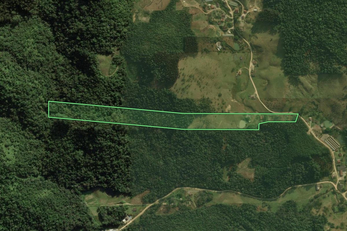Imagem de satélite do imóvel rural em Angelina (SC), com o contorno declarado no CAR desenhado por cima.