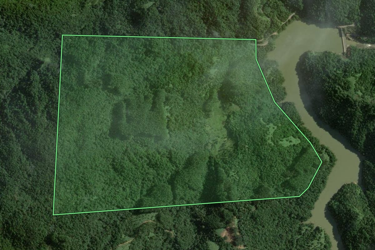 Imagem de satélite do imóvel rural em Angelina (SC), com o contorno declarado no CAR desenhado por cima.
