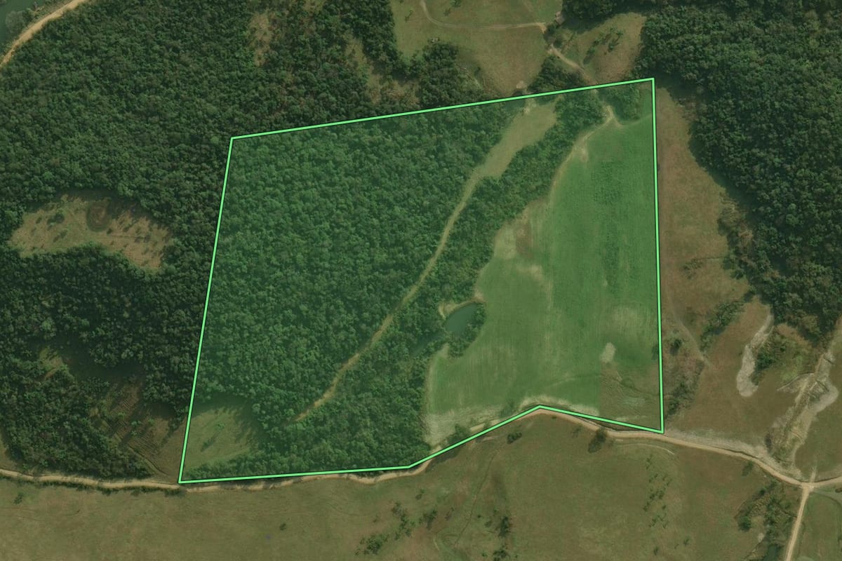 Imagem de satélite do imóvel rural em Angelina (SC), com o contorno declarado no CAR desenhado por cima.