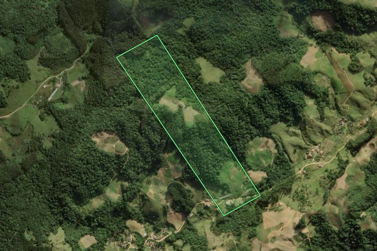 Imagem de satélite do imóvel rural em Angelina (SC), com o contorno declarado no CAR desenhado por cima.