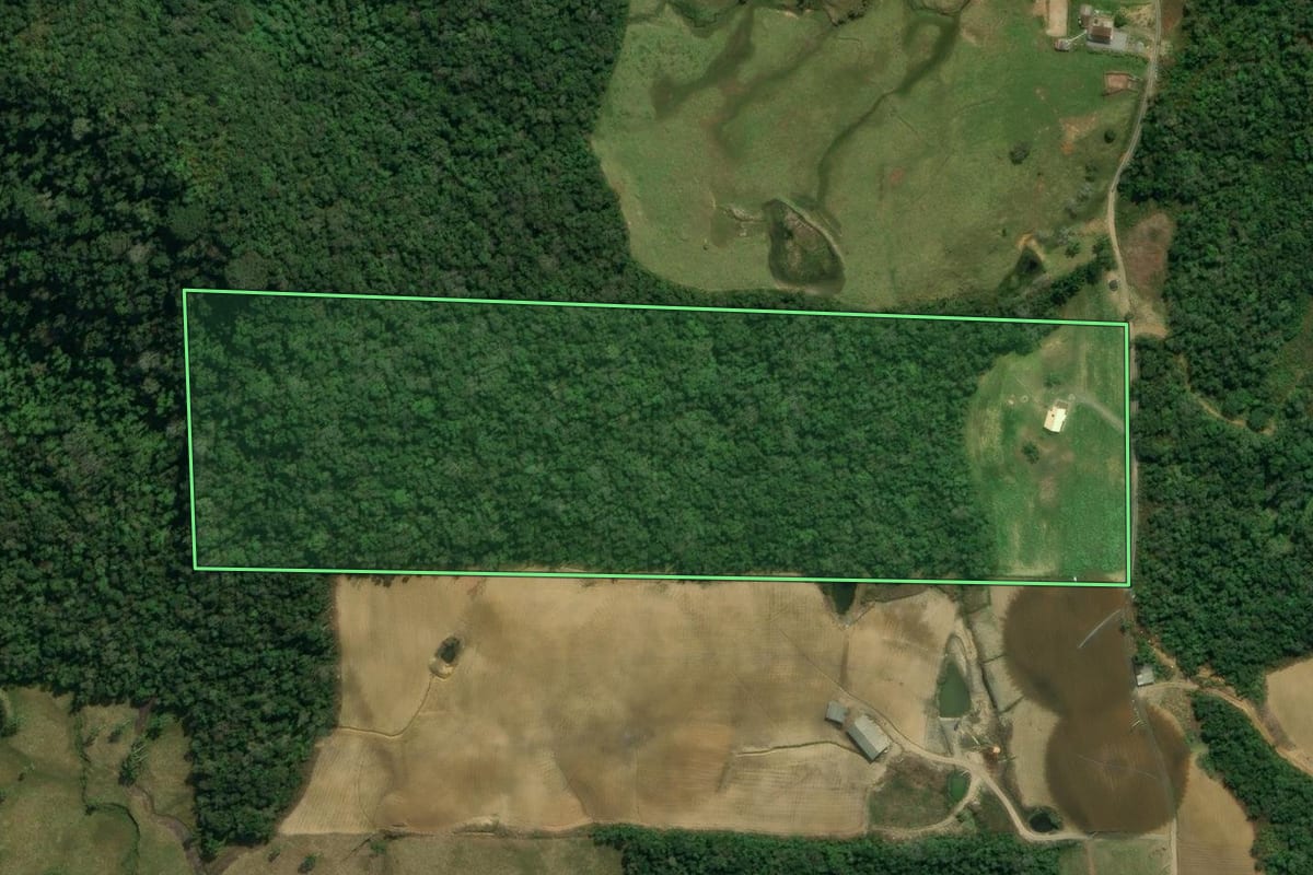 Imagem de satélite do imóvel rural em Angelina (SC), com o contorno declarado no CAR desenhado por cima.
