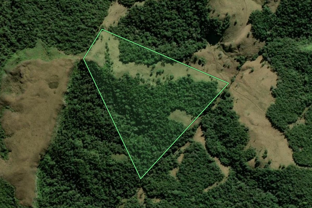 Imagem de satélite do imóvel rural em Angelina (SC), com o contorno declarado no CAR desenhado por cima.