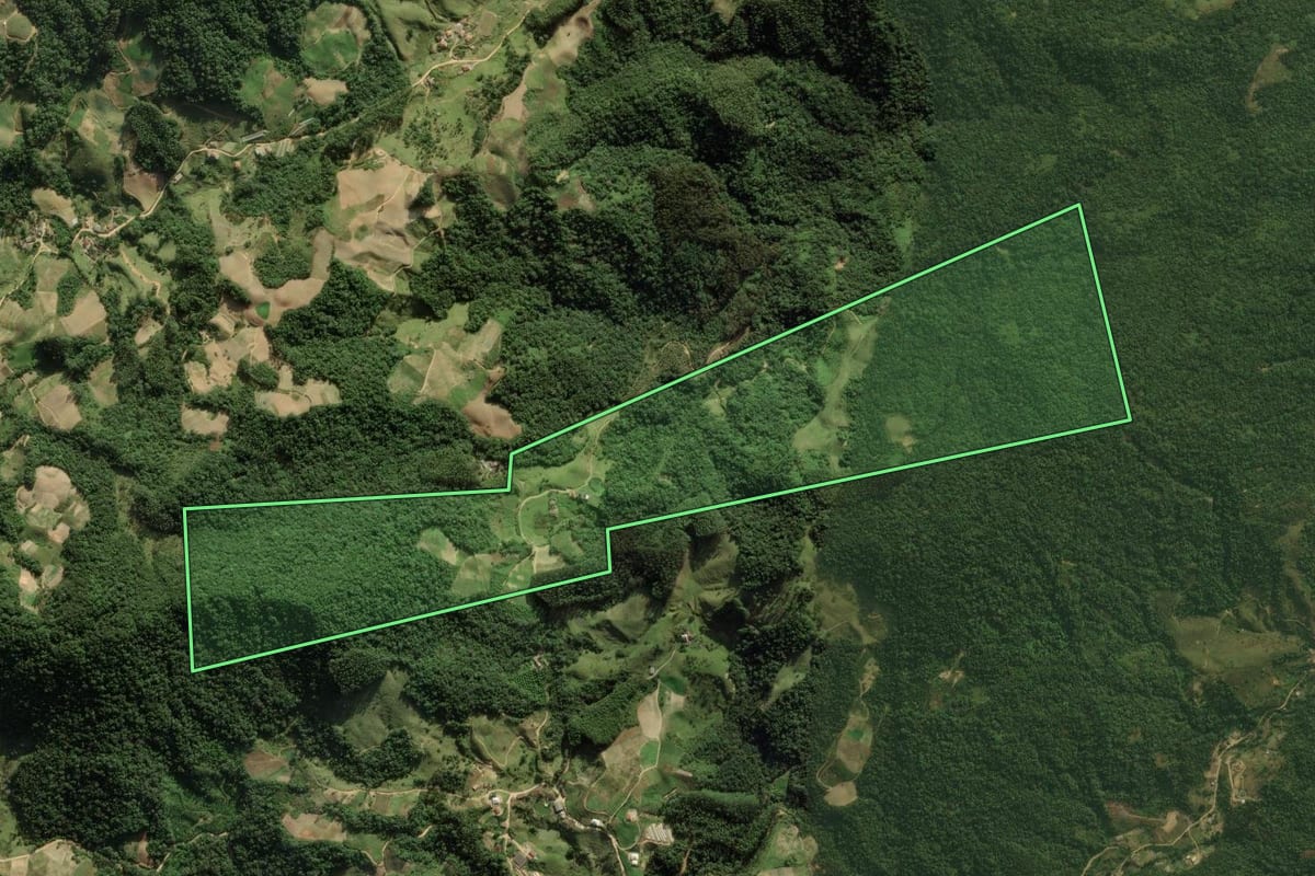 Imagem de satélite do imóvel rural em Angelina (SC), com o contorno declarado no CAR desenhado por cima.