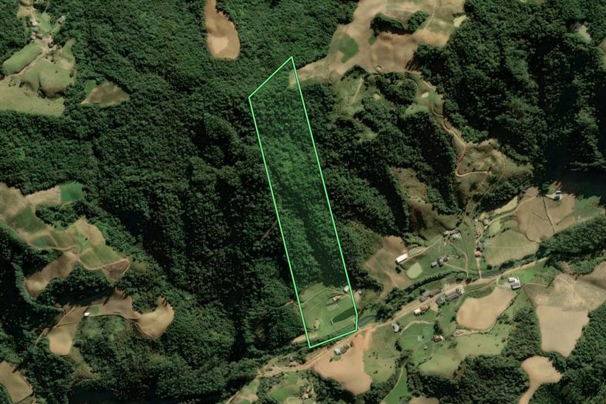 Imagem de satélite do imóvel rural em Angelina (SC), com o contorno declarado no CAR desenhado por cima.