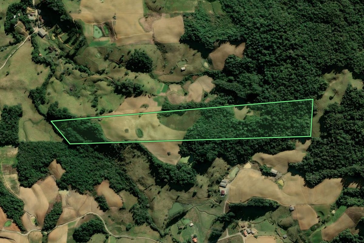 Imagem de satélite do imóvel rural em Angelina (SC), com o contorno declarado no CAR desenhado por cima.