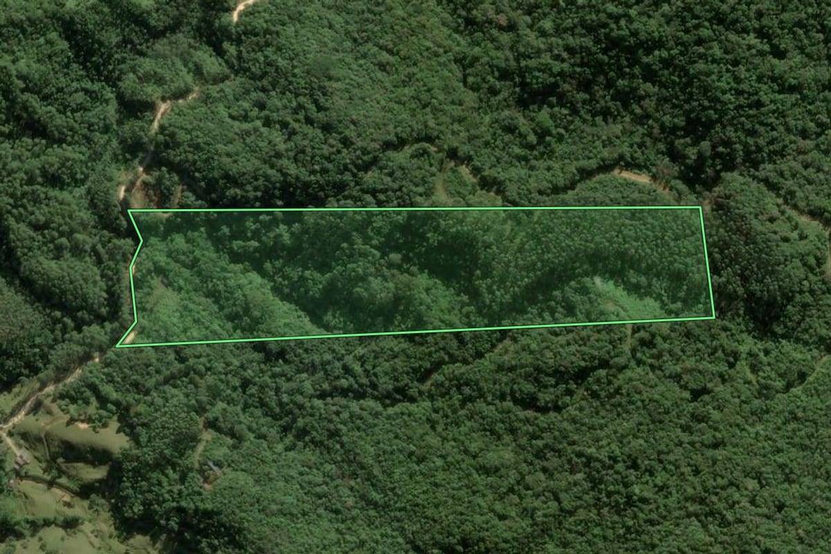 Imagem de satélite do imóvel rural em Angelina (SC), com o contorno declarado no CAR desenhado por cima.
