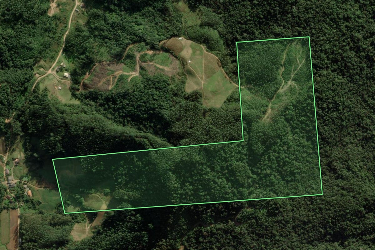 Imagem de satélite do imóvel rural em Angelina (SC), com o contorno declarado no CAR desenhado por cima.