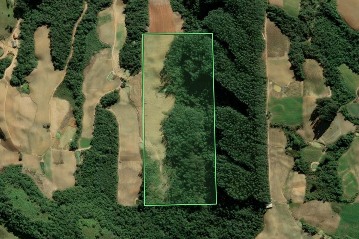 Imagem de satélite do imóvel rural em Angelina (SC), com o contorno declarado no CAR desenhado por cima.