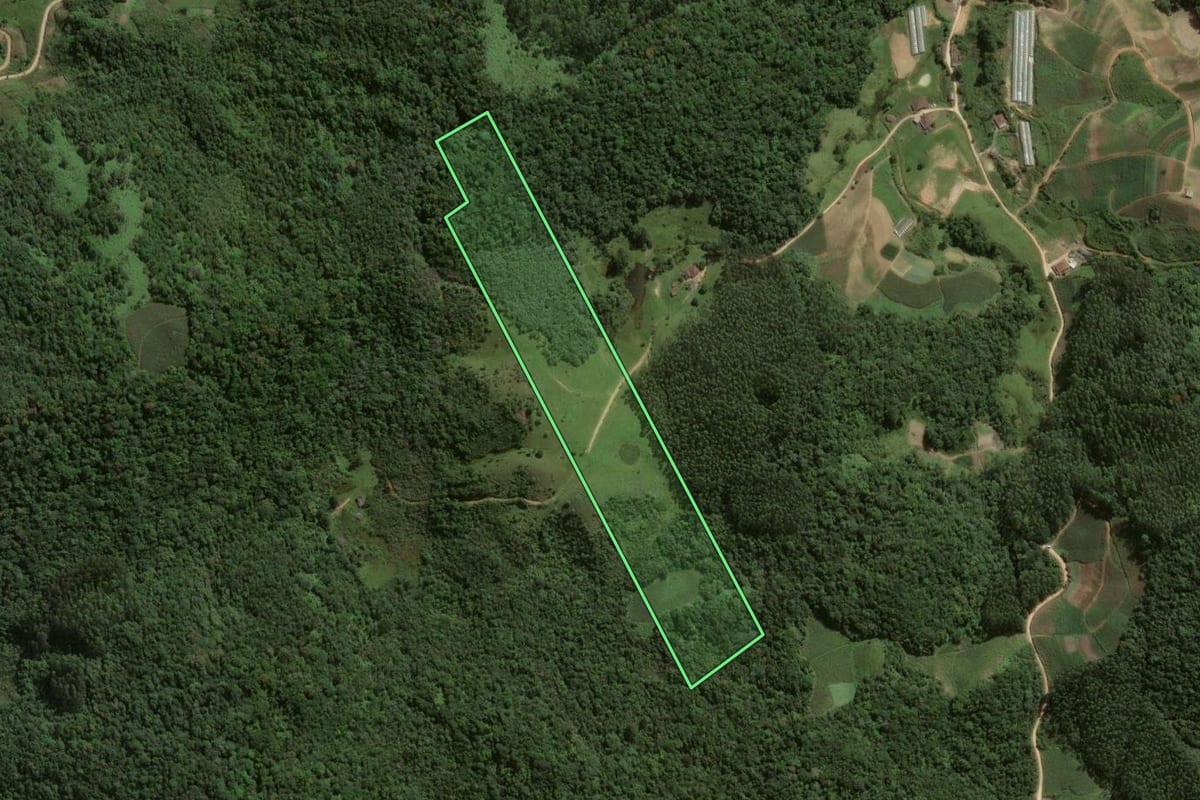 Imagem de satélite do imóvel rural em Angelina (SC), com o contorno declarado no CAR desenhado por cima.
