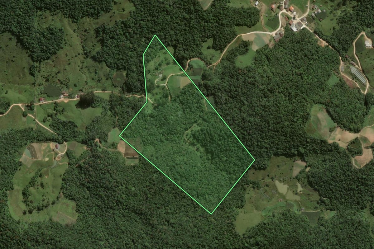 Imagem de satélite do imóvel rural em Angelina (SC), com o contorno declarado no CAR desenhado por cima.