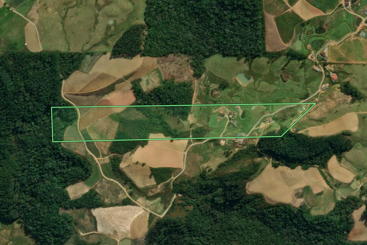 Imagem de satélite do imóvel rural em Angelina (SC), com o contorno declarado no CAR desenhado por cima.
