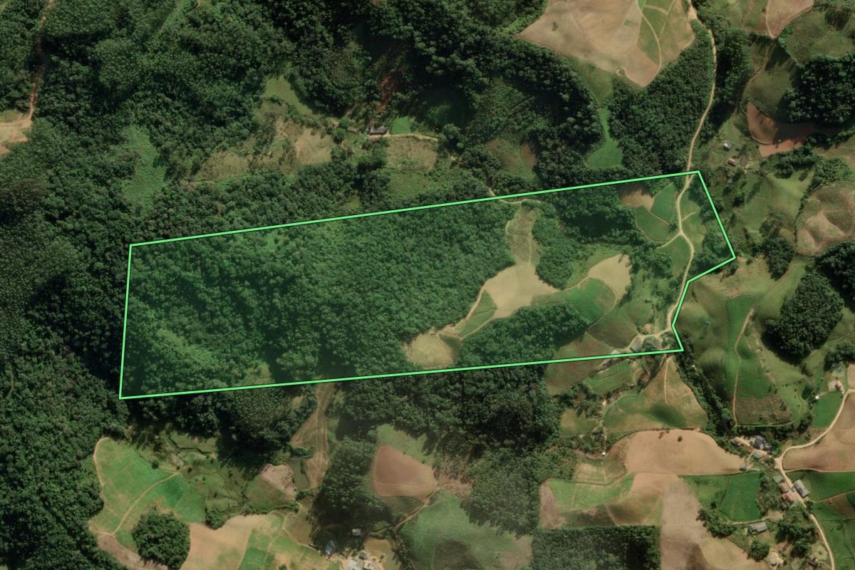 Imagem de satélite do imóvel rural em Angelina (SC), com o contorno declarado no CAR desenhado por cima.