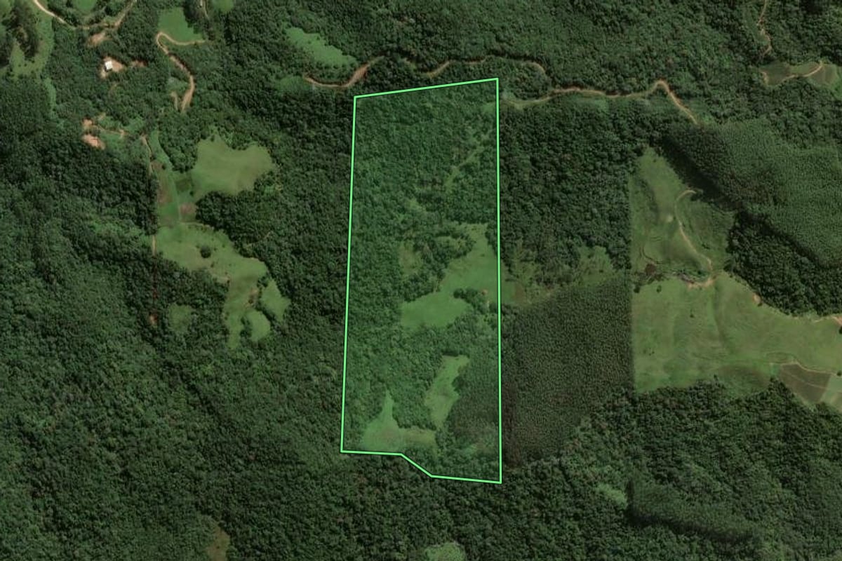 Imagem de satélite do imóvel rural em Angelina (SC), com o contorno declarado no CAR desenhado por cima.