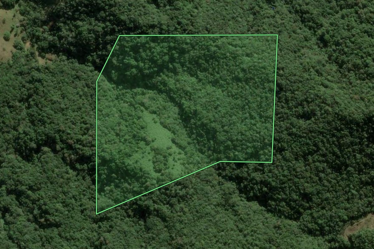 Imagem de satélite do imóvel rural em Angelina (SC), com o contorno declarado no CAR desenhado por cima.