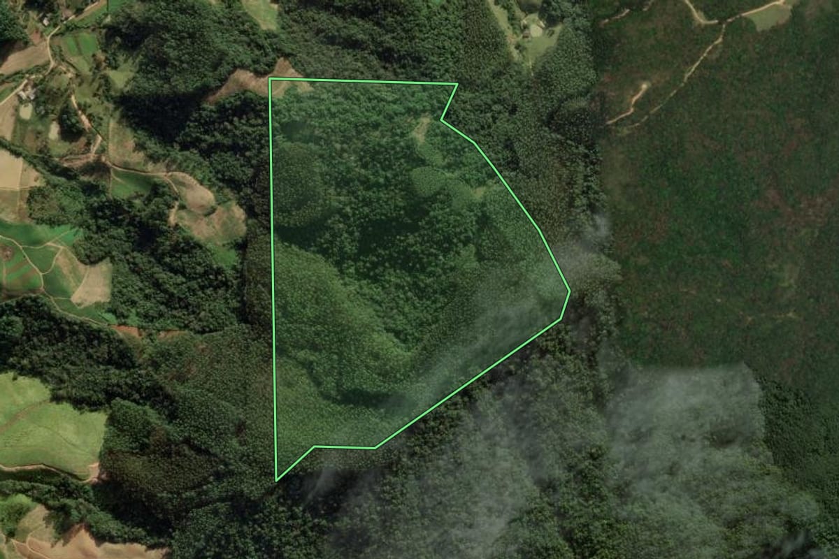 Imagem de satélite do imóvel rural em Angelina (SC), com o contorno declarado no CAR desenhado por cima.