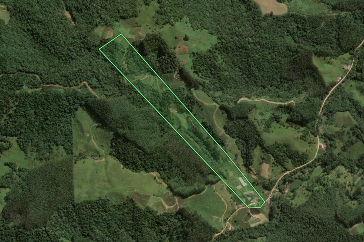 Imagem de satélite do imóvel rural em Angelina (SC), com o contorno declarado no CAR desenhado por cima.