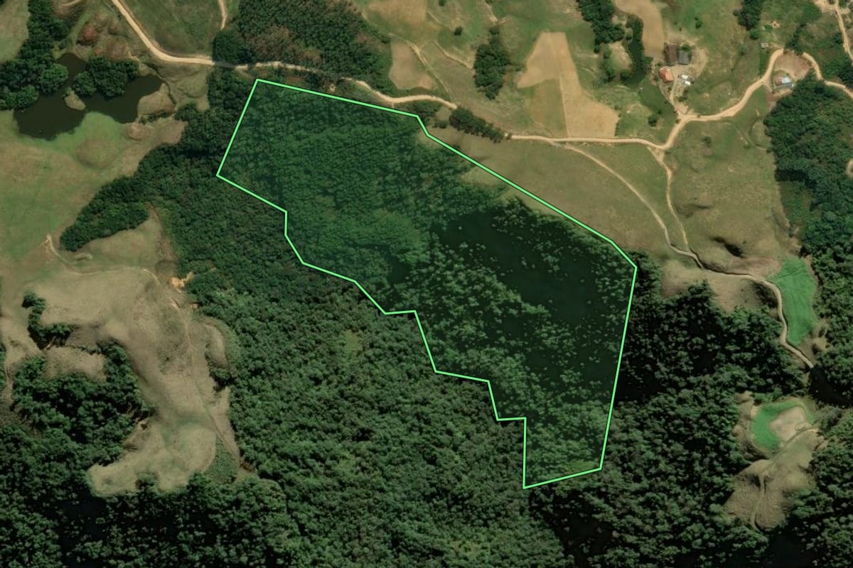 Imagem de satélite do imóvel rural em Angelina (SC), com o contorno declarado no CAR desenhado por cima.