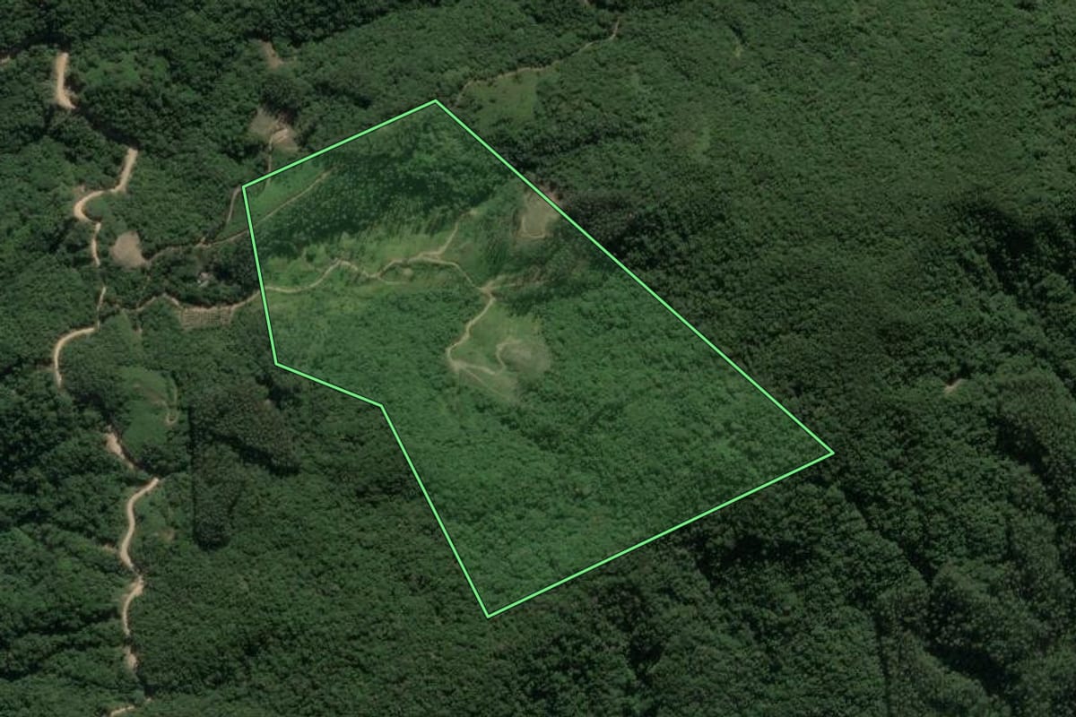 Imagem de satélite do imóvel rural em Angelina (SC), com o contorno declarado no CAR desenhado por cima.