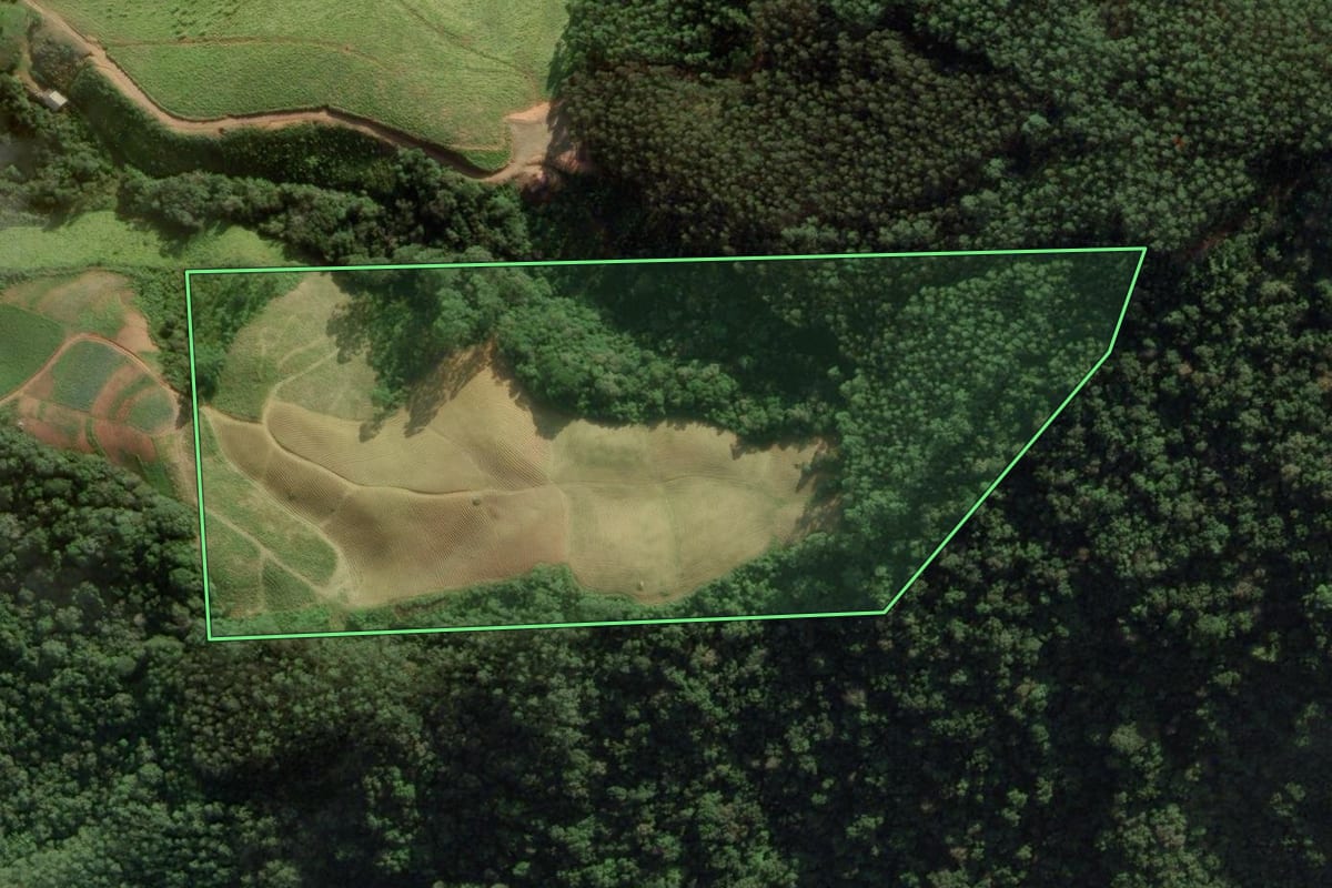 Imagem de satélite do imóvel rural em Angelina (SC), com o contorno declarado no CAR desenhado por cima.