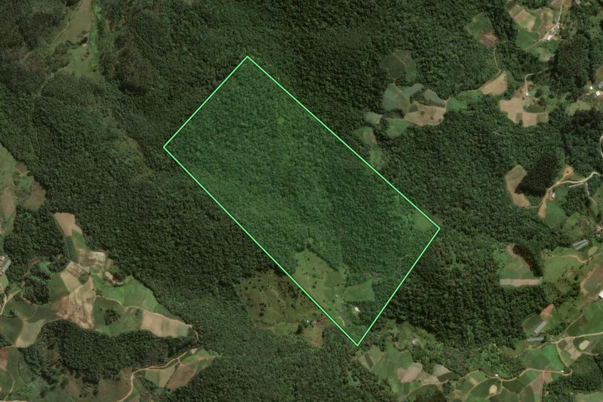 Imagem de satélite do imóvel rural em Angelina (SC), com o contorno declarado no CAR desenhado por cima.