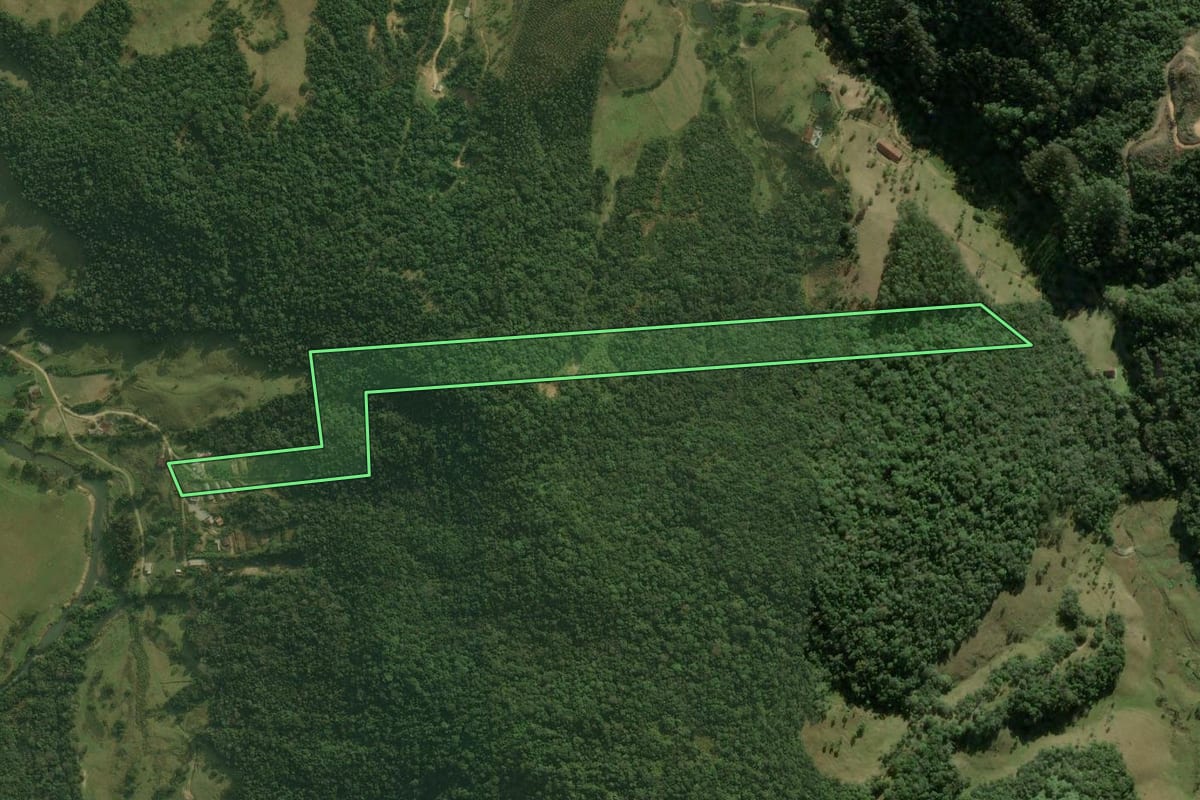 Imagem de satélite do imóvel rural em Angelina (SC), com o contorno declarado no CAR desenhado por cima.