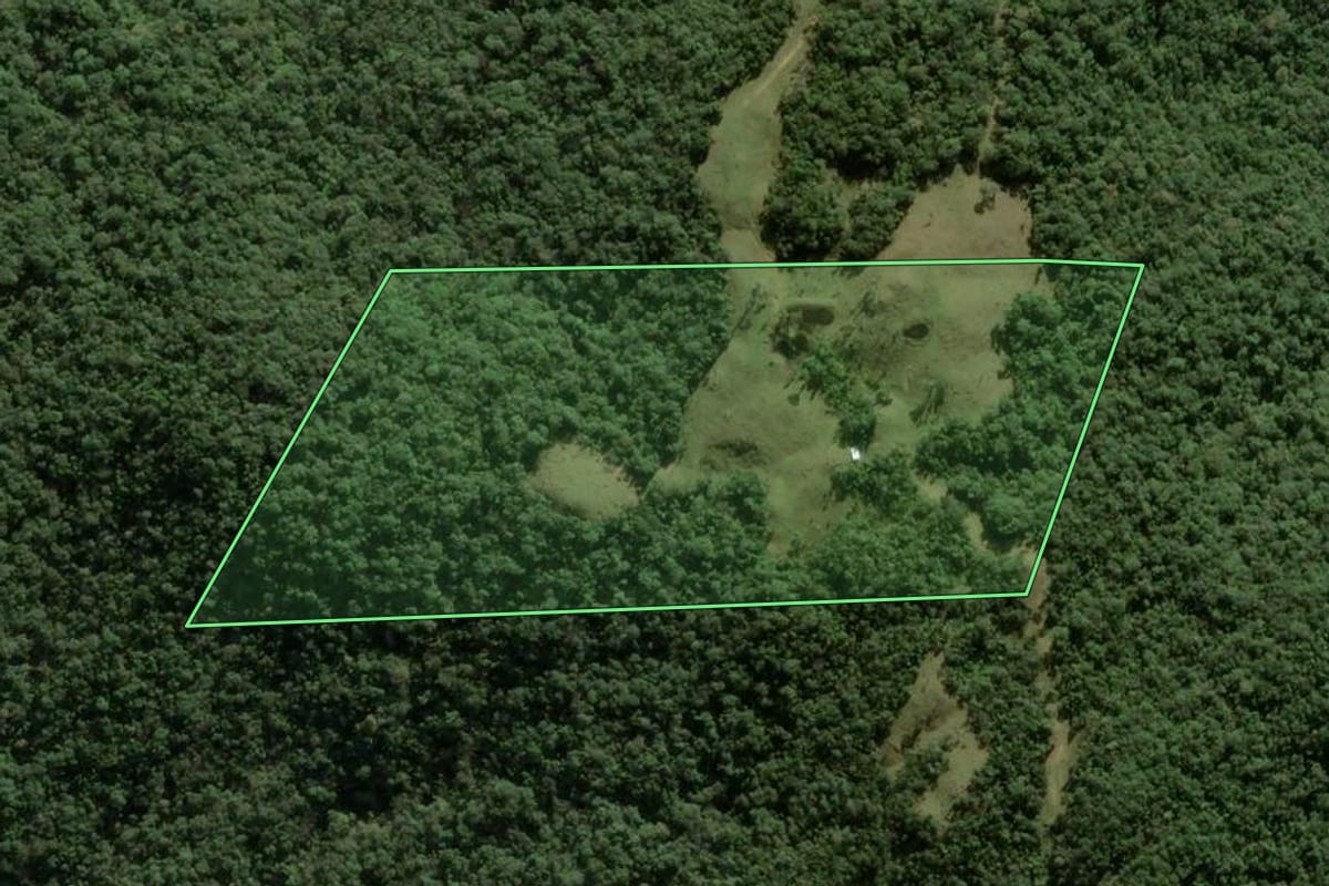 Imagem de satélite do imóvel rural em Angelina (SC), com o contorno declarado no CAR desenhado por cima.