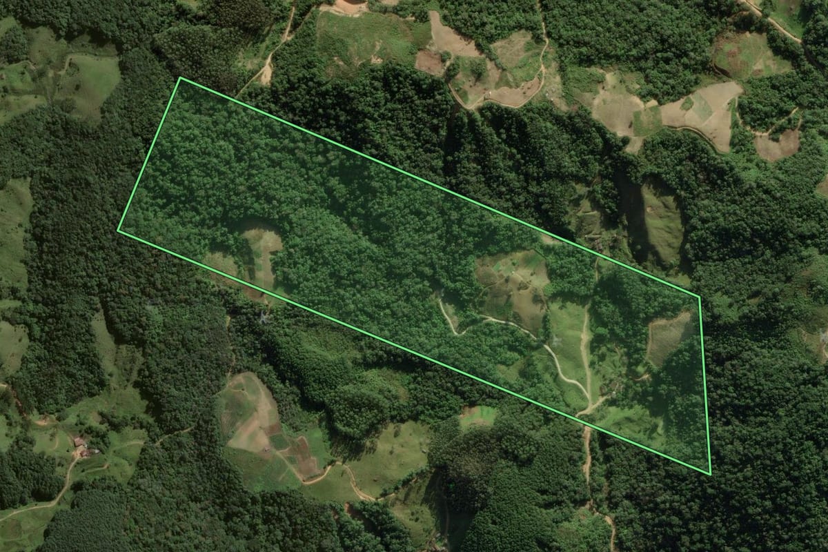 Imagem de satélite do imóvel rural em Angelina (SC), com o contorno declarado no CAR desenhado por cima.