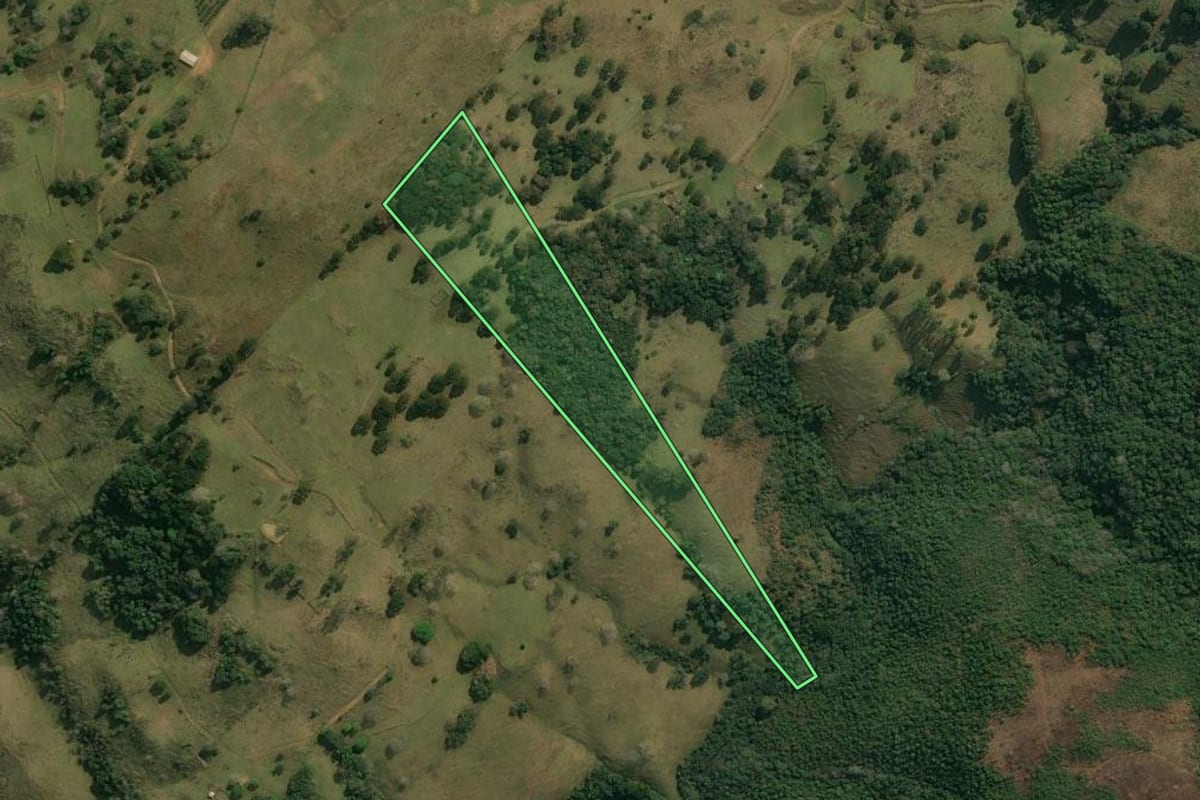 Imagem de satélite do imóvel rural em Anita Garibaldi (SC), com o contorno declarado no CAR desenhado por cima.
