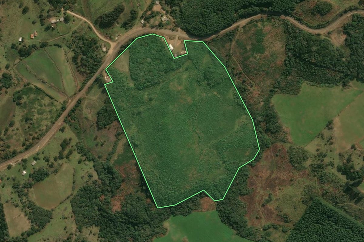 Imagem de satélite do imóvel rural em Anita Garibaldi (SC), com o contorno declarado no CAR desenhado por cima.