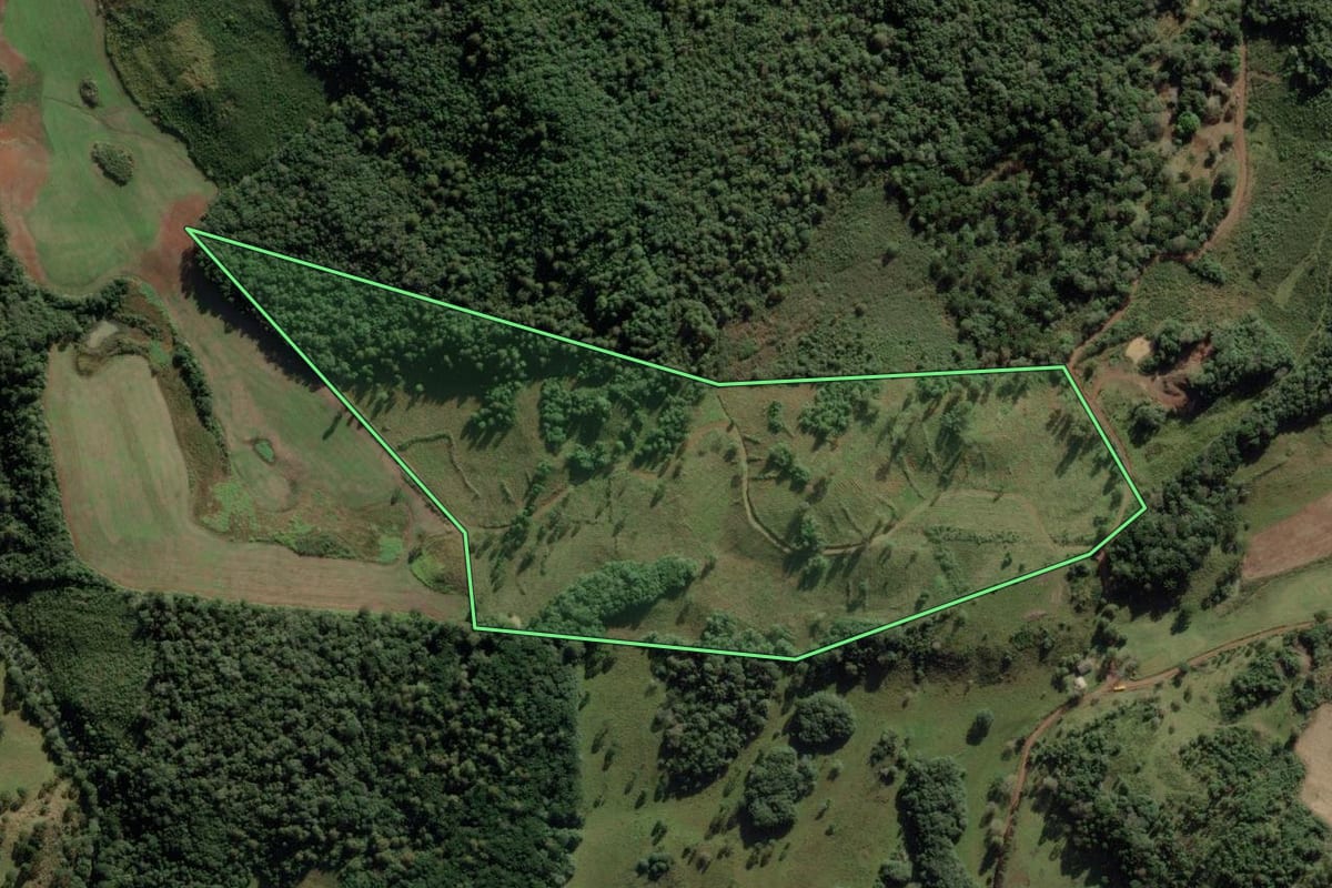 Imagem de satélite do imóvel rural em Anita Garibaldi (SC), com o contorno declarado no CAR desenhado por cima.
