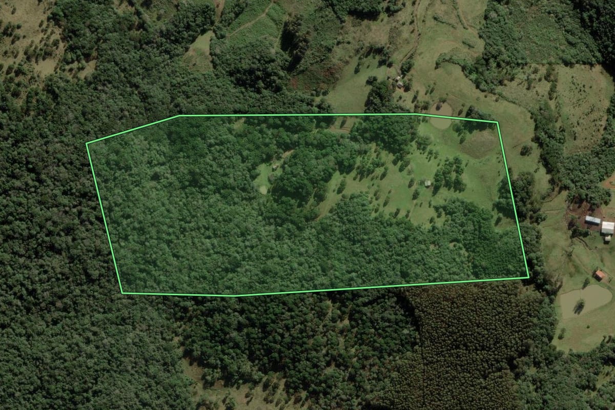 Imagem de satélite do imóvel rural em Anita Garibaldi (SC), com o contorno declarado no CAR desenhado por cima.