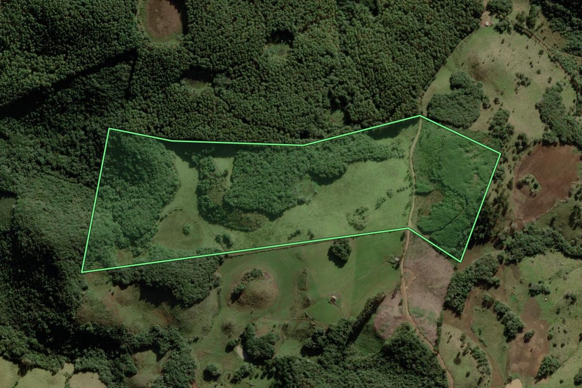 Imagem de satélite do imóvel rural em Anita Garibaldi (SC), com o contorno declarado no CAR desenhado por cima.